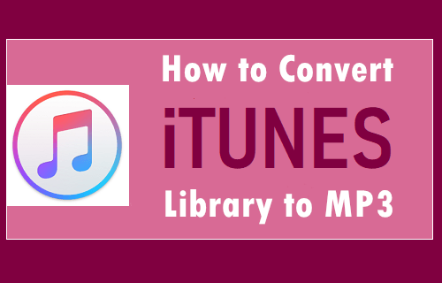 Need to Convert iTunes Library to MP3
