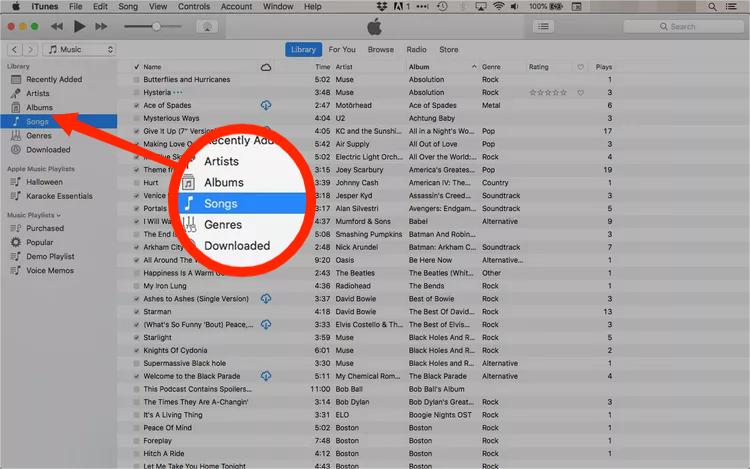 Add A Song To An iTunes Playlist