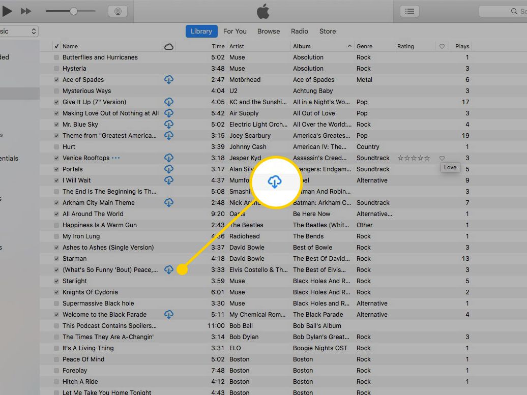 Download My Entire Apple Music Library On PC