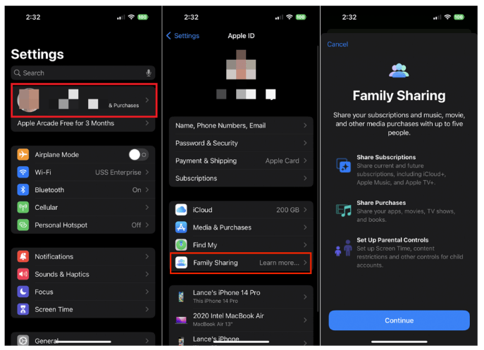 Entrar en la configuración del plan familiar