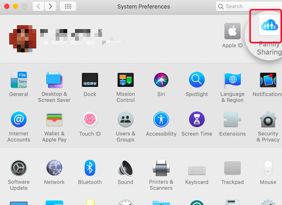 Mac Users Share Apple Music