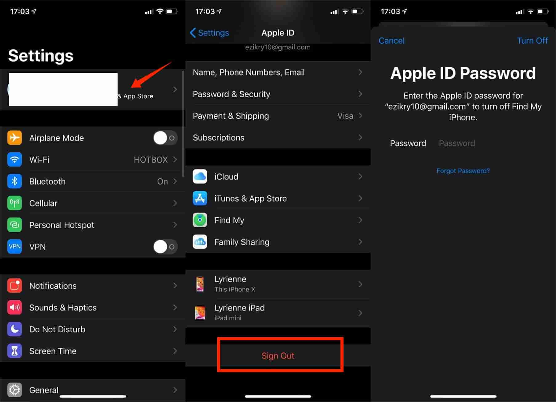 Reset Your Apple ID Login