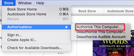 Authorize Your Audible Account on Apple Books