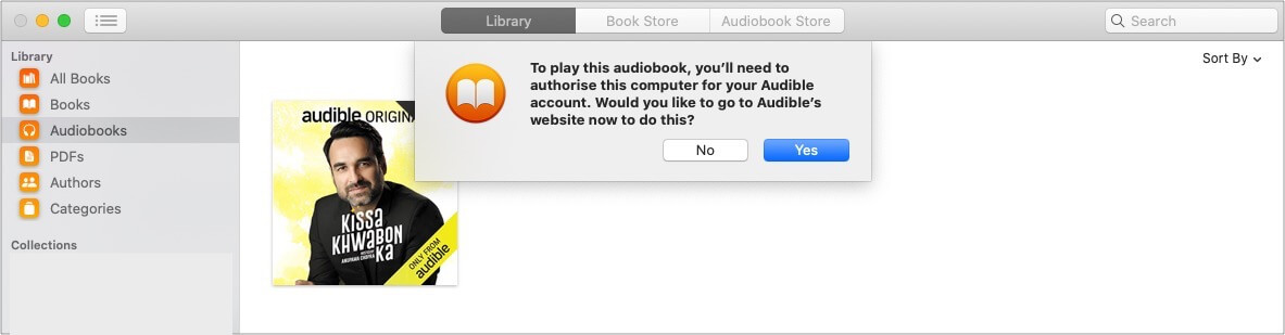 Click Yes To Authorize Mac