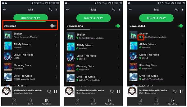 Download Spotify Music On Mobile
