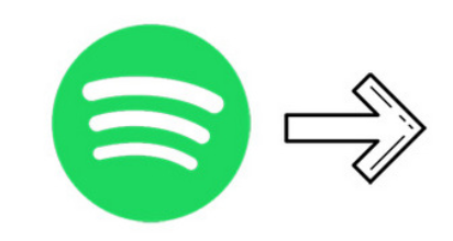Showing Different Types of Spotify Converter