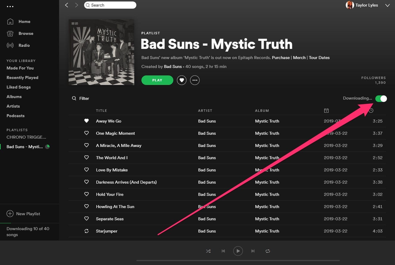 Herunterladen Spotify Lieder auf dem PC
