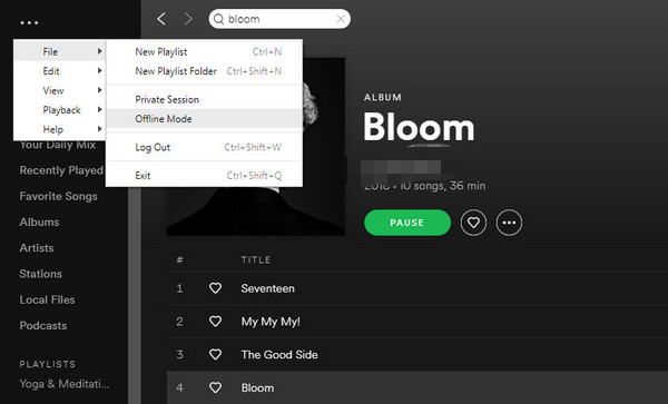 Can Two People Listen to Spotify at The Same Time via Offline Mode
