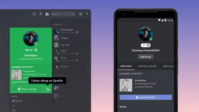 Giocare Spotify Musica sulla tua discordia