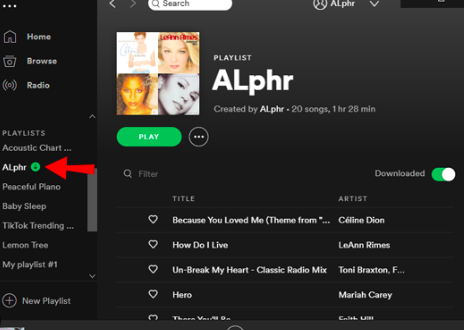 Entfernen Sie heruntergeladene Songs auf Spotify Auf Ihrem PC