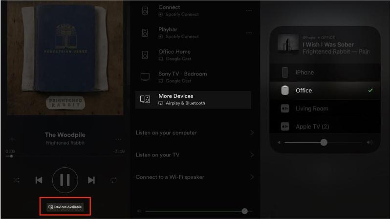 Play Spotify auf dem HomePod Mini