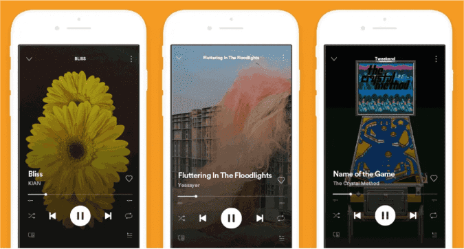 Canvas Feature On Spotify