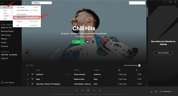 How To Play Spotify Offline On PC