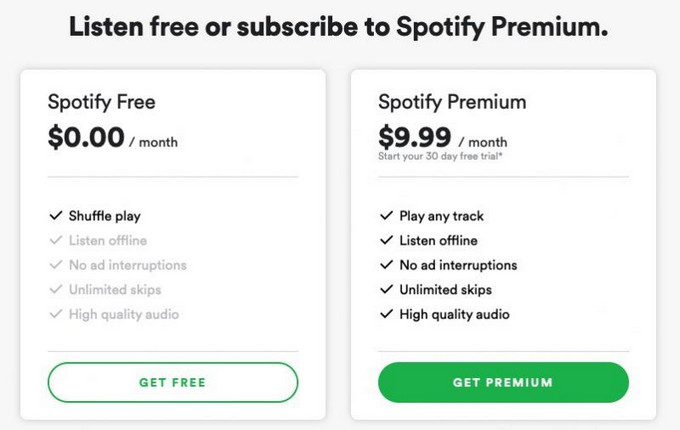 Subscribe to A Premium Plan to Use Spotify Abroad