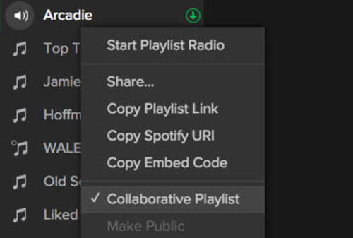 Moving Your Spotify Playlist to Another Account To Export Spotify Platlist