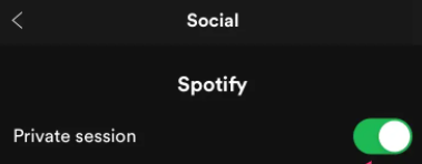 Spotify Private Session on Mobile Device