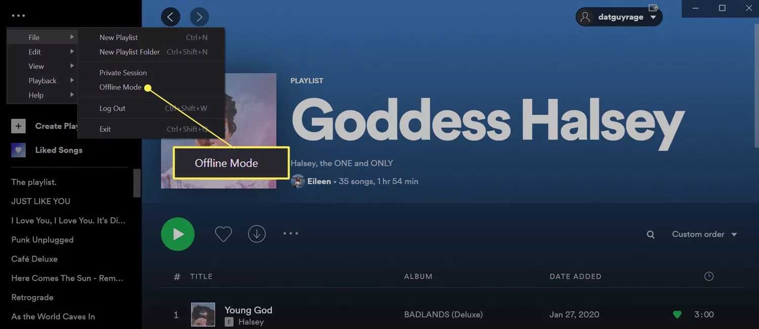 启用 Spotify 离线电脑的歌曲