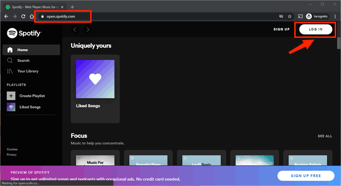 Login Spotify Web Player