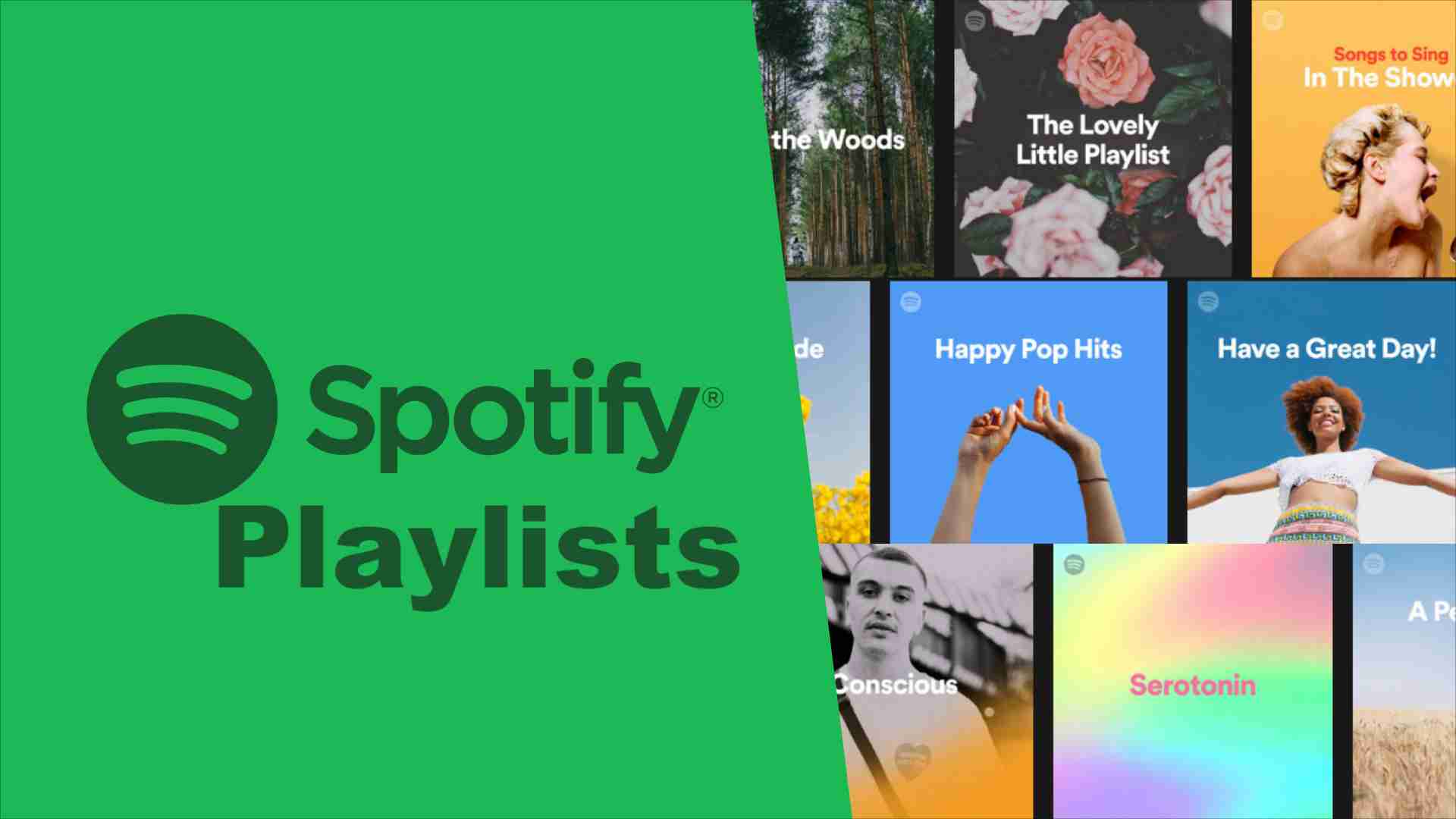 The Spotify Playlists