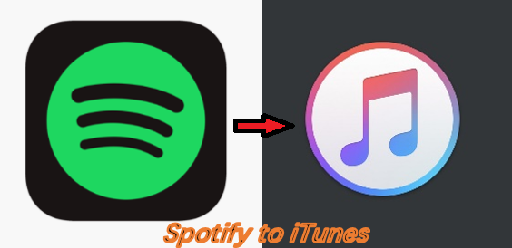 Как перенести музыку из Spotify в iTunes в Windows