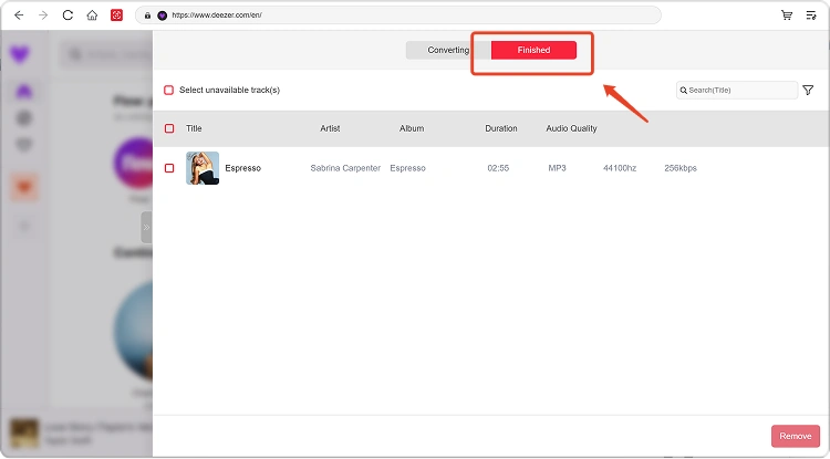 View Converted Music