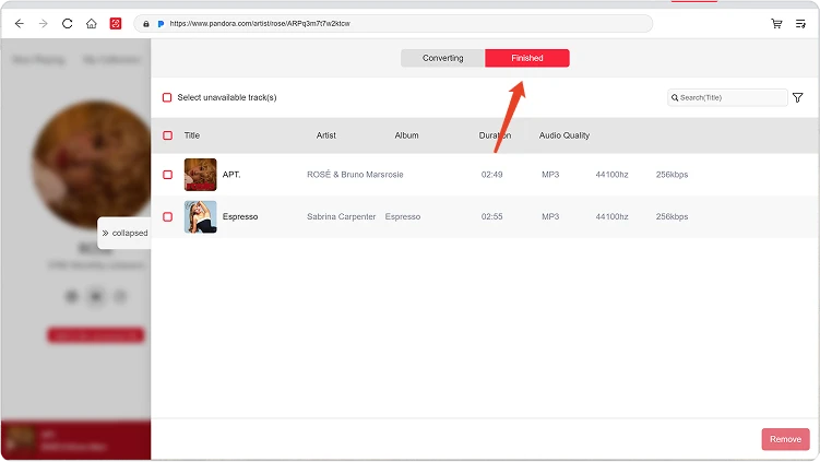 View Converted Music