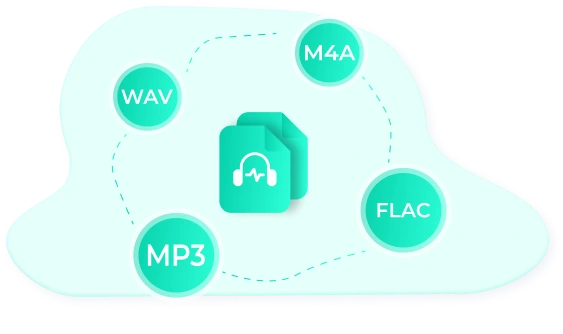 Multiple Output Formats & Customization Options